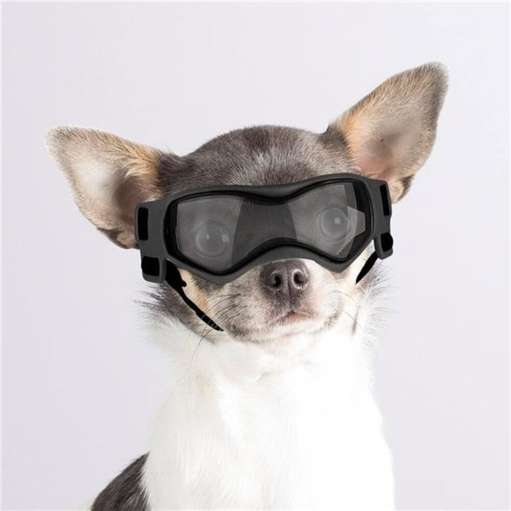 Dog Goggles for Small Dogs,UV Protection Sunglasses for Dogs Small Breed,Outdoor